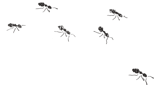 蟻のイラスト