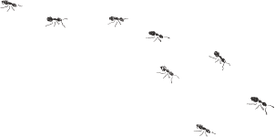 蟻のイラスト