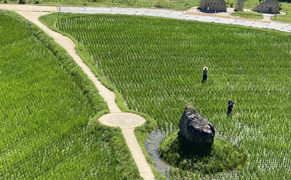 ラ コリーナのへそ