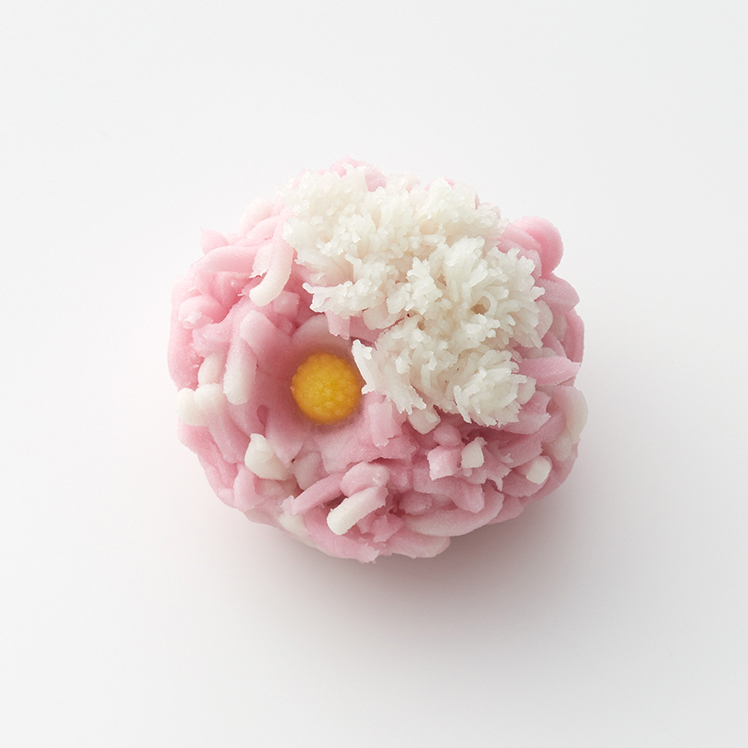 露菊