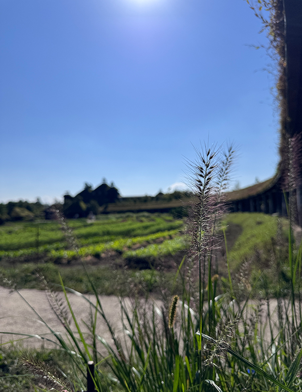 土塔