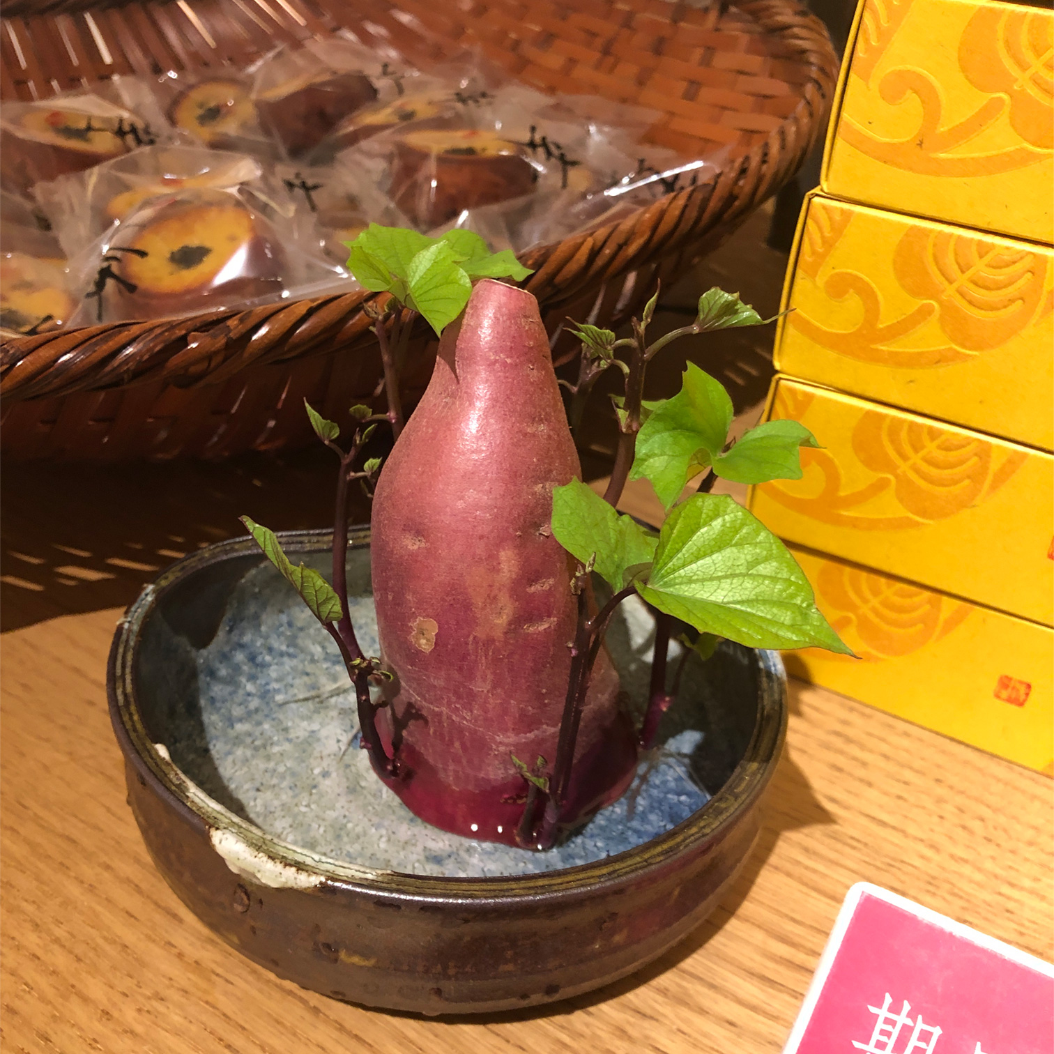 メインショップ