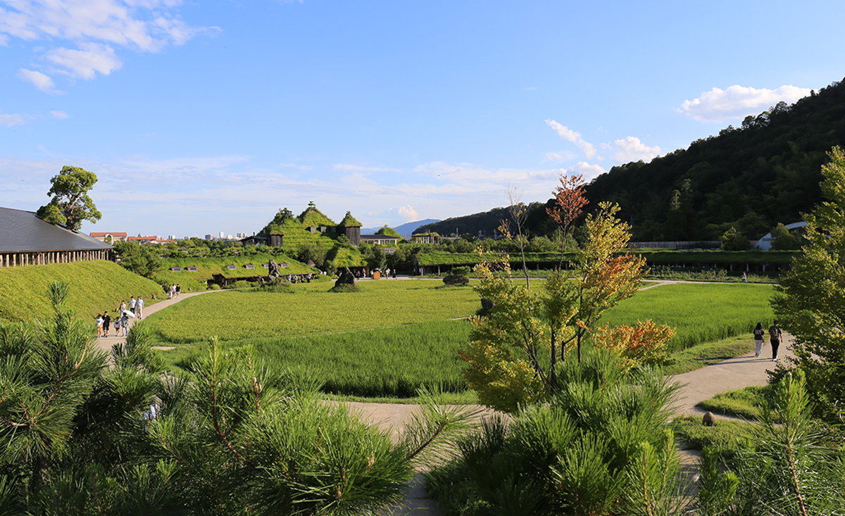 全景