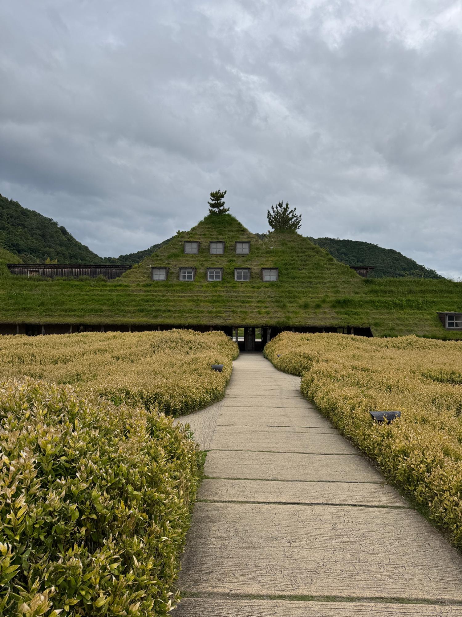 草屋根