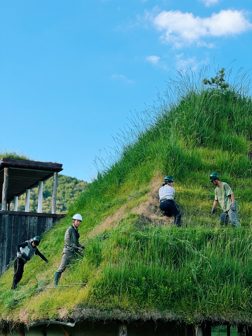 草屋根